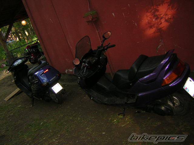 Photo 460689