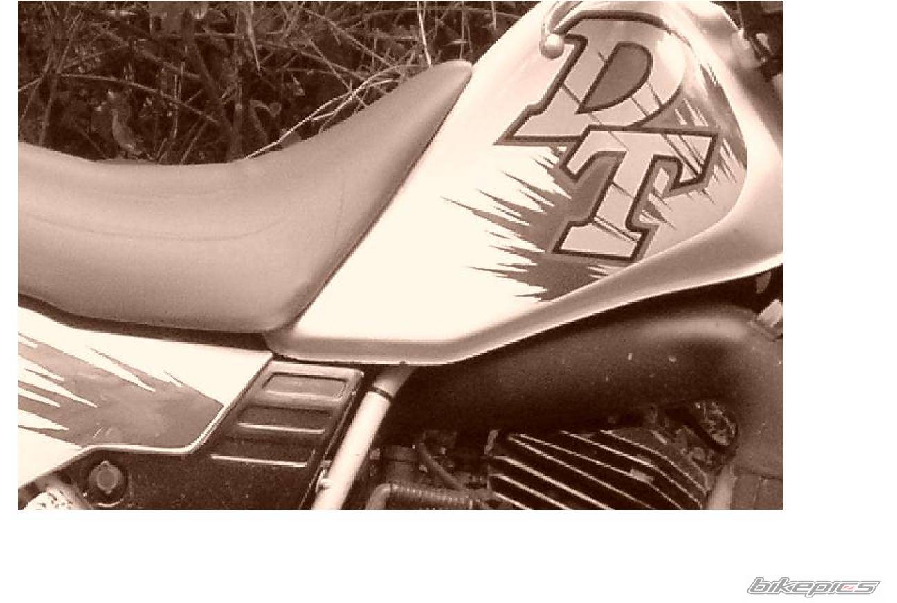 Photo 460761