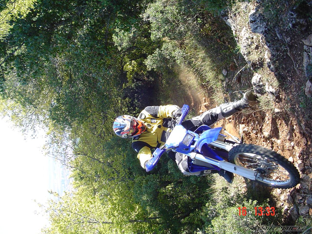 Bike Photo 460898