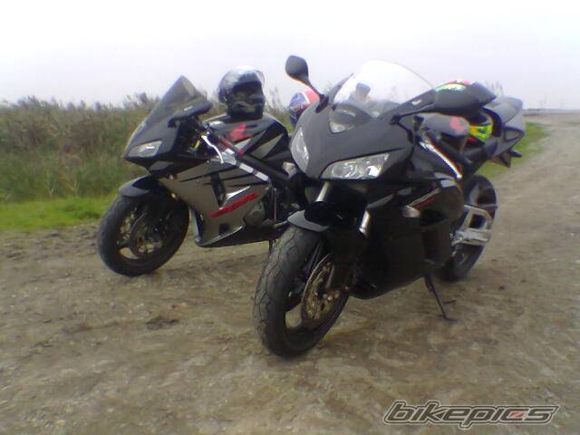 Photo 460931