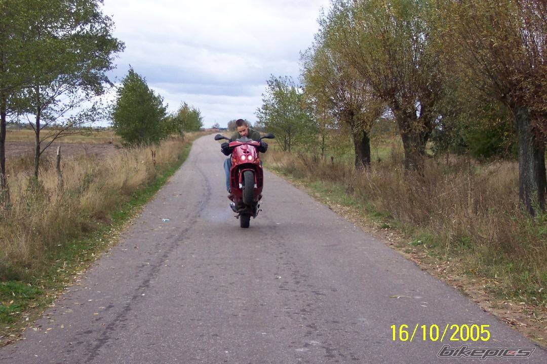 Photo 460945