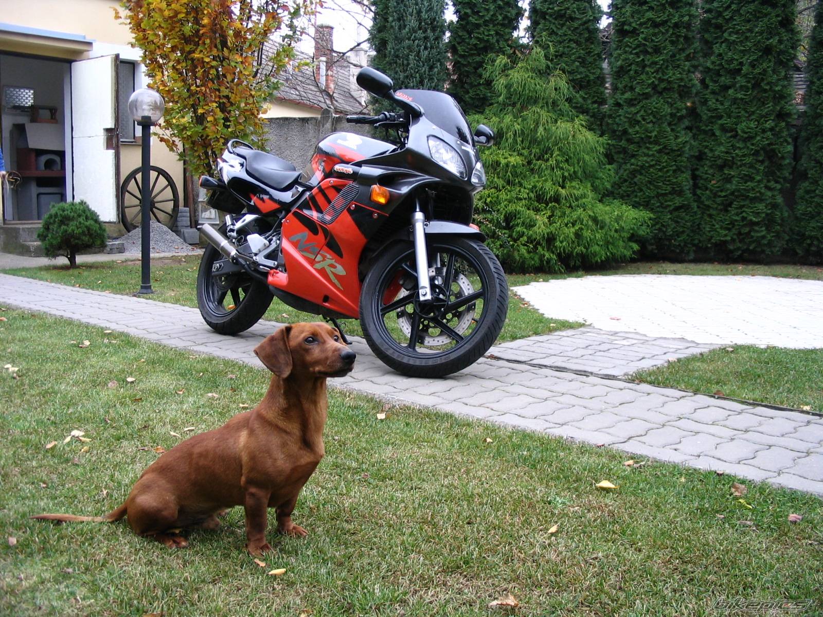 Bike Photo 460946