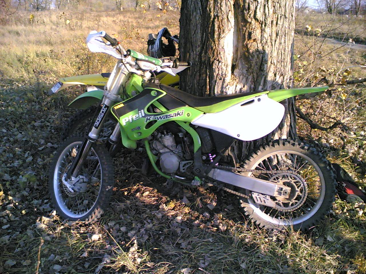 Photo 460995