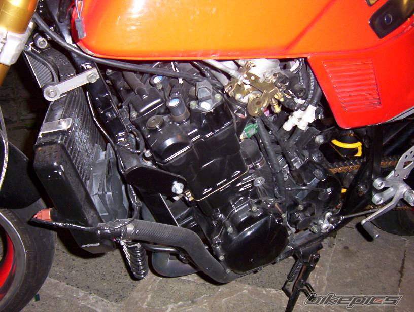Photo 461250
