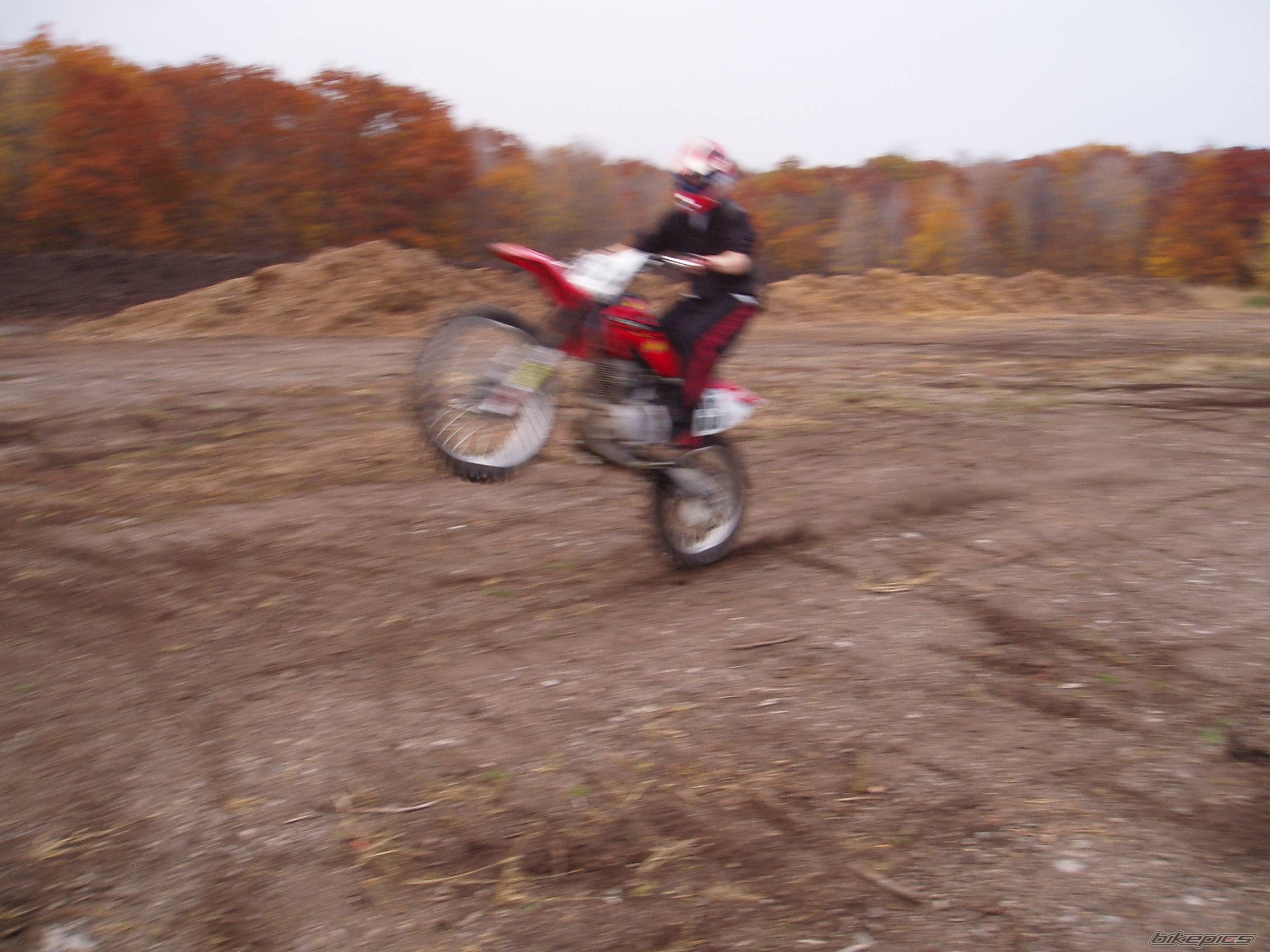 Photo 461319