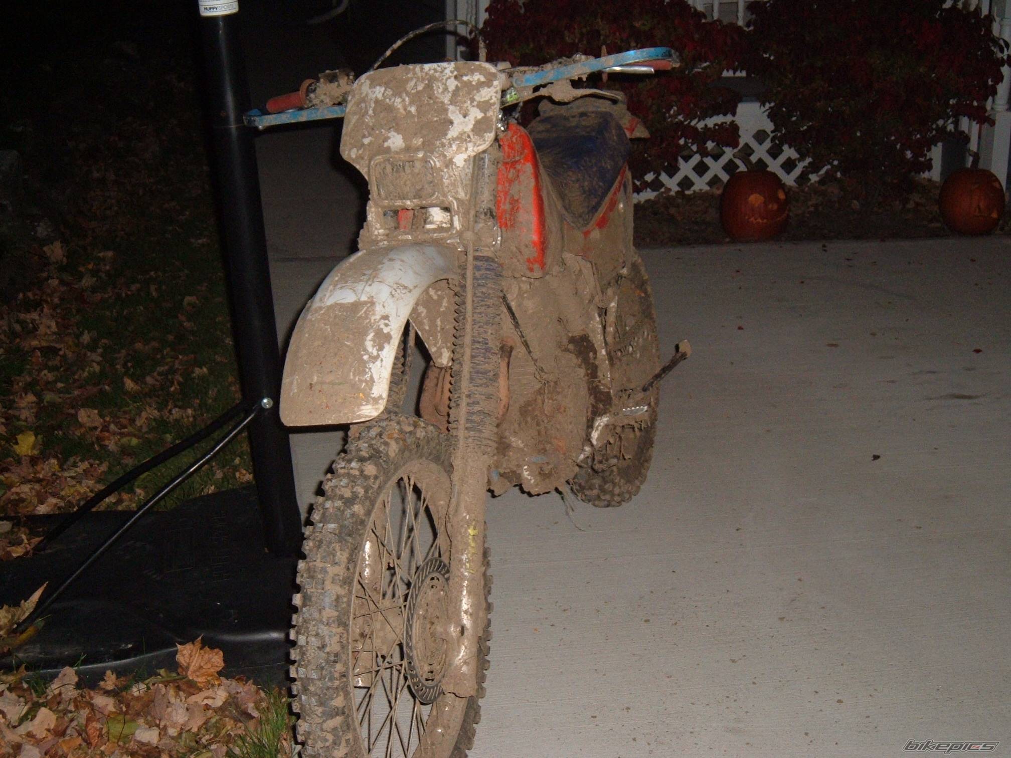 Photo 461404