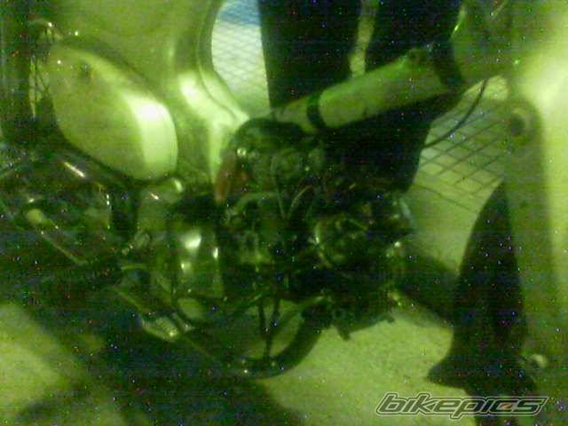 Photo 461582