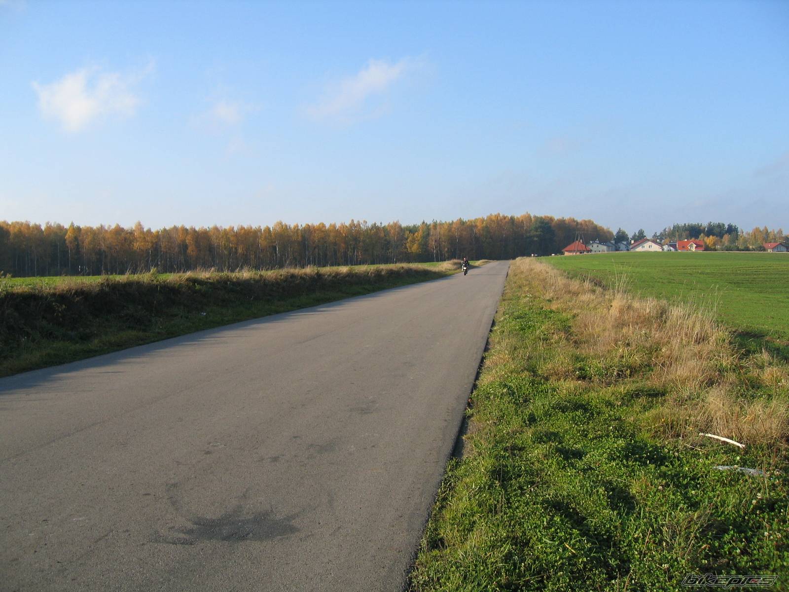 Bike Photo 461598