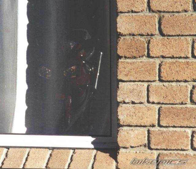 Photo 4616