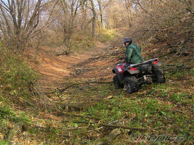 Photo 461617