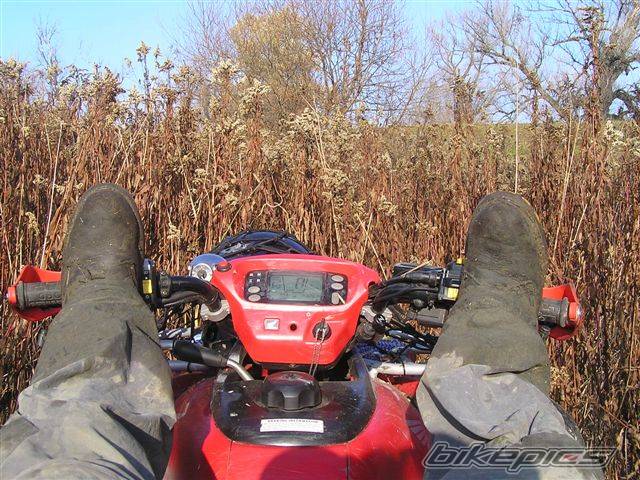 Photo 461626