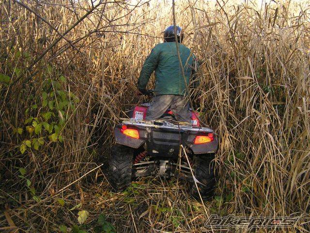 Photo 461632
