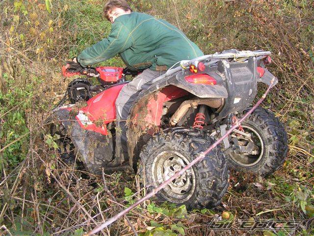 Photo 461640