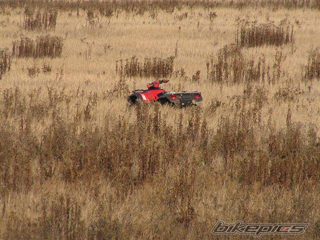 Photo 461643