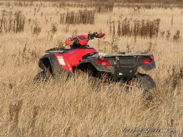 Photo 461644