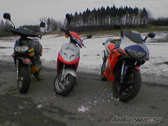 Photo 461843