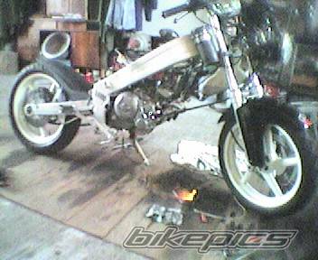 Bike Photo 461930