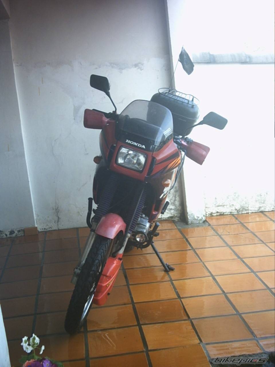 Photo 462036