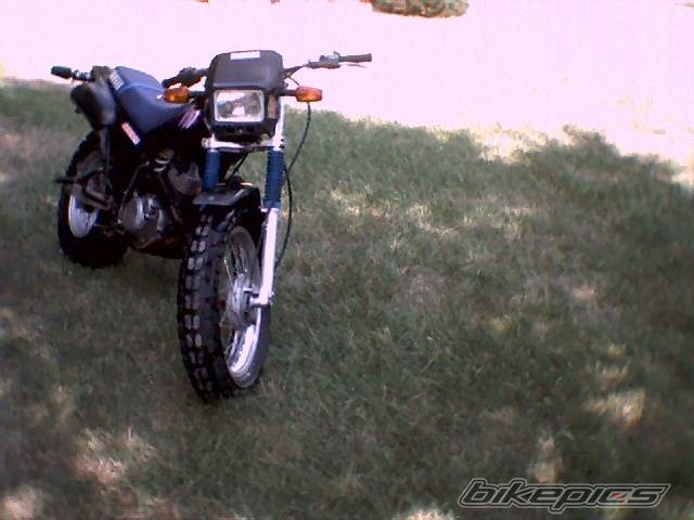Photo 462090