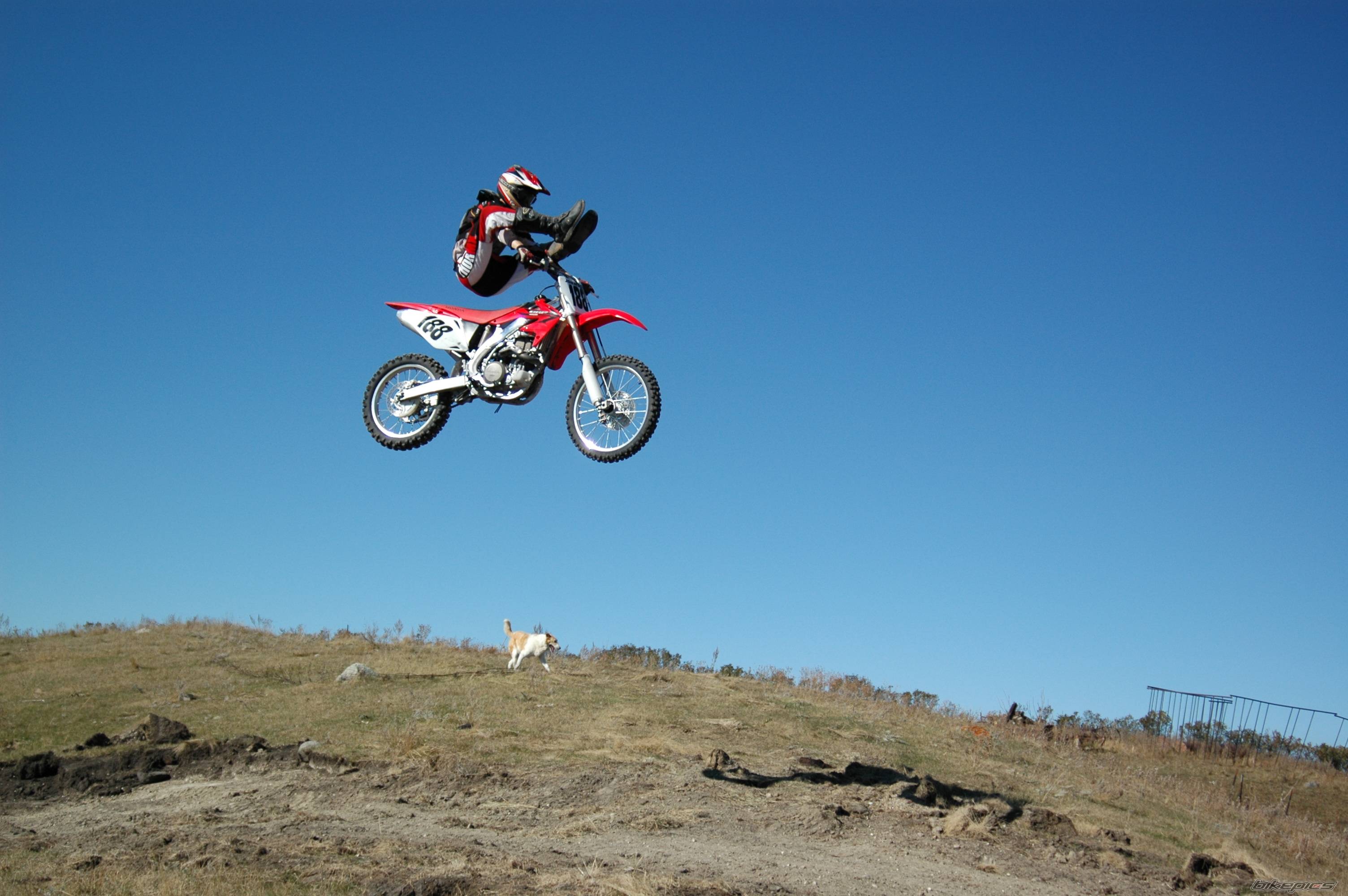 Bike Photo 462099