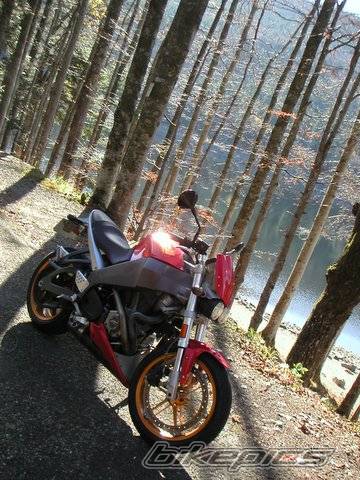 Bike Photo 462128