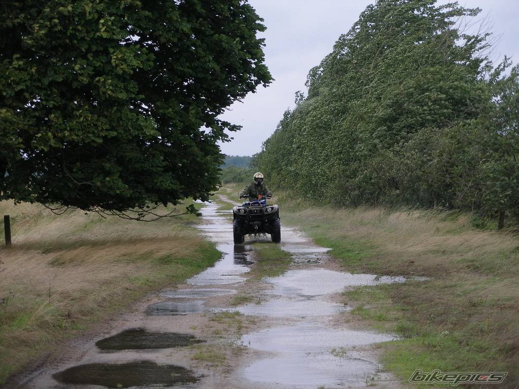 Photo 462190