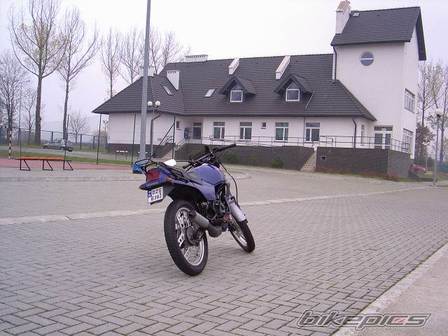Bike Photo 462218