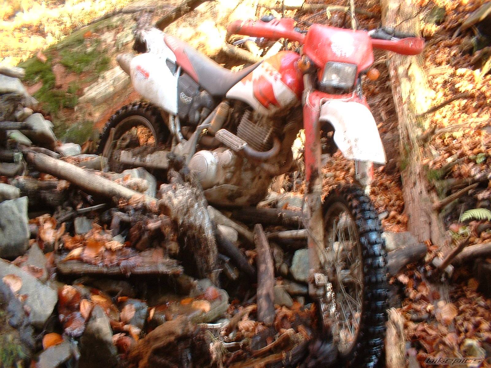 Bike Photo 462222