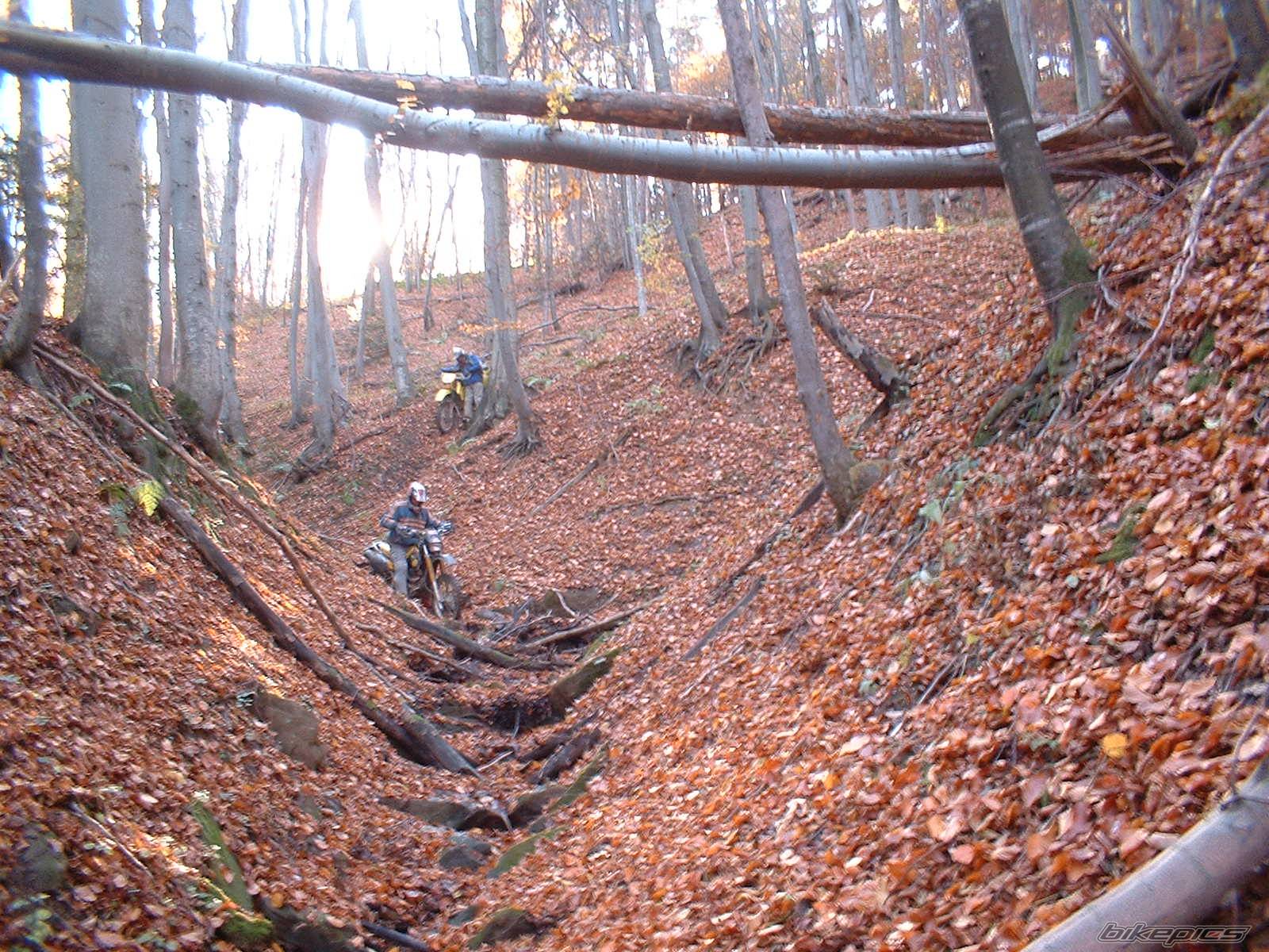 Bike Photo 462228