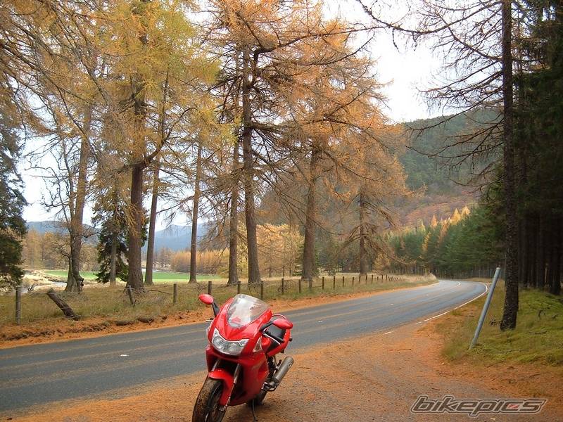Bike Photo 462243