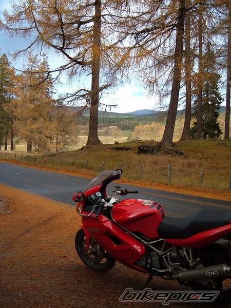 Bike Photo 462255