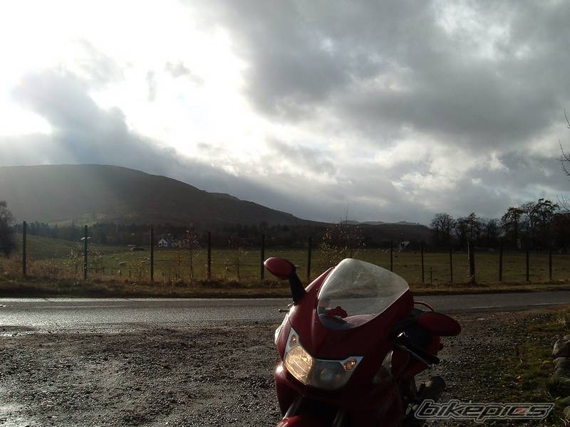 Bike Photo 462256