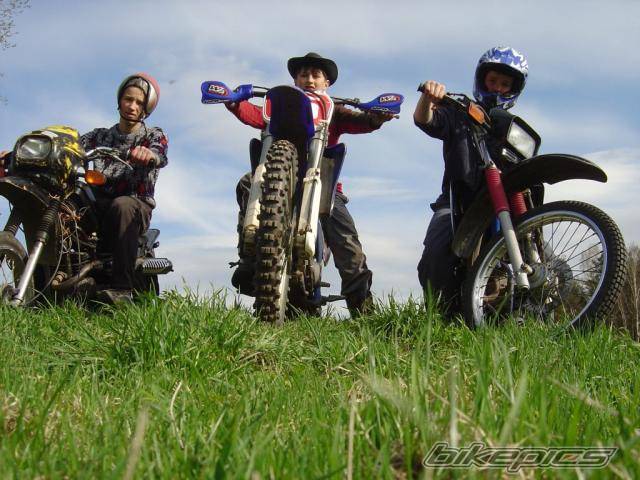 Photo 462299