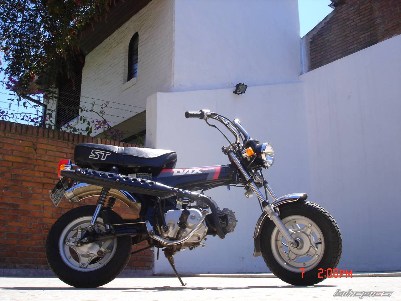 Photo 462428