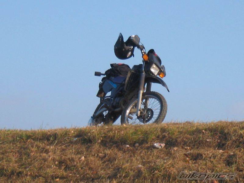 Photo 462462