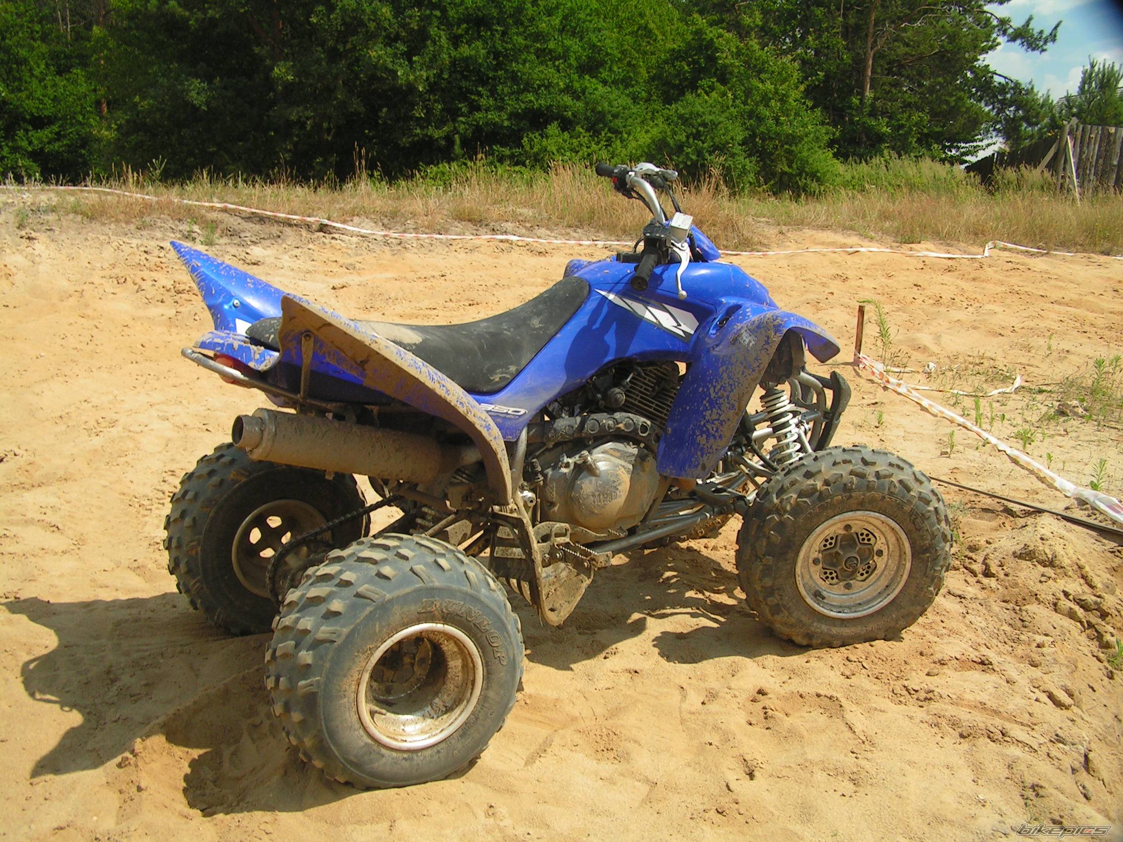 Bike Photo 462539