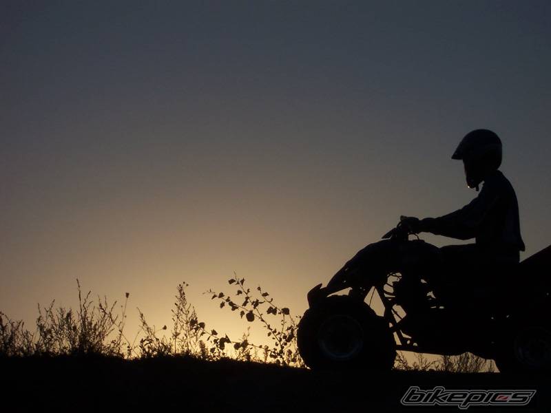 Bike Photo 462552