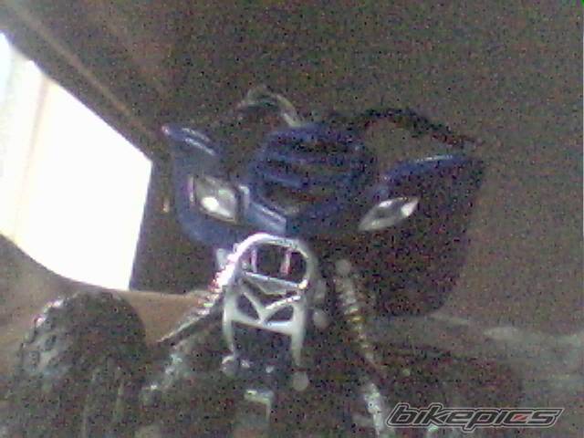 Photo 462563