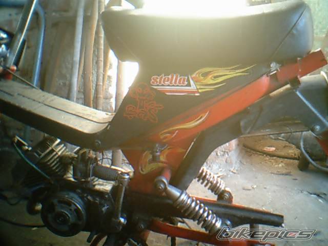 Photo 462564