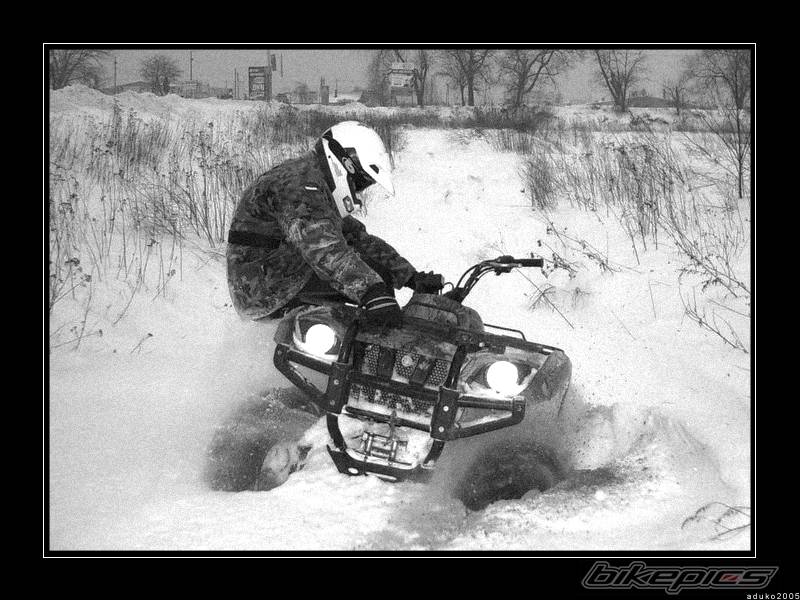 Photo 462624