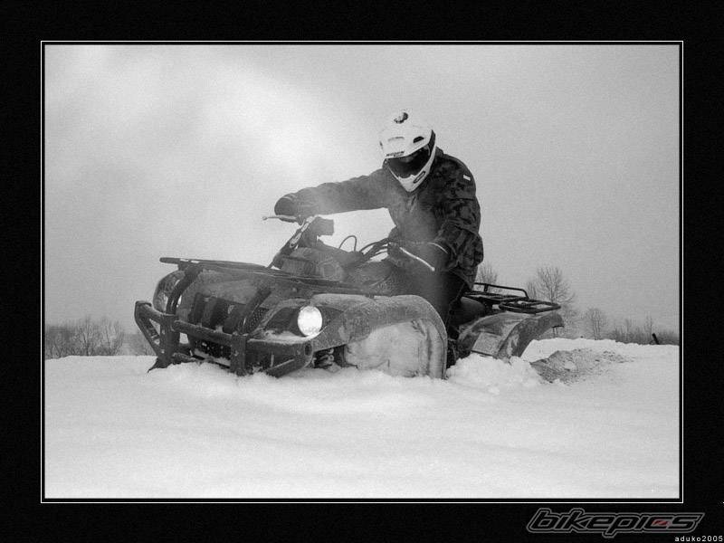 Photo 462631