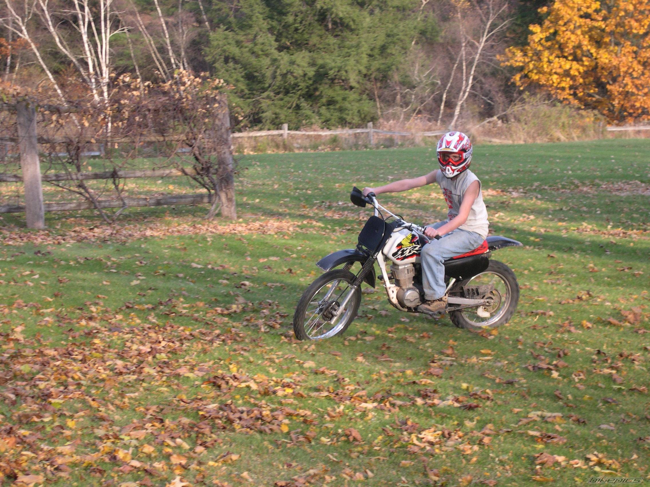 Bike Photo 462677