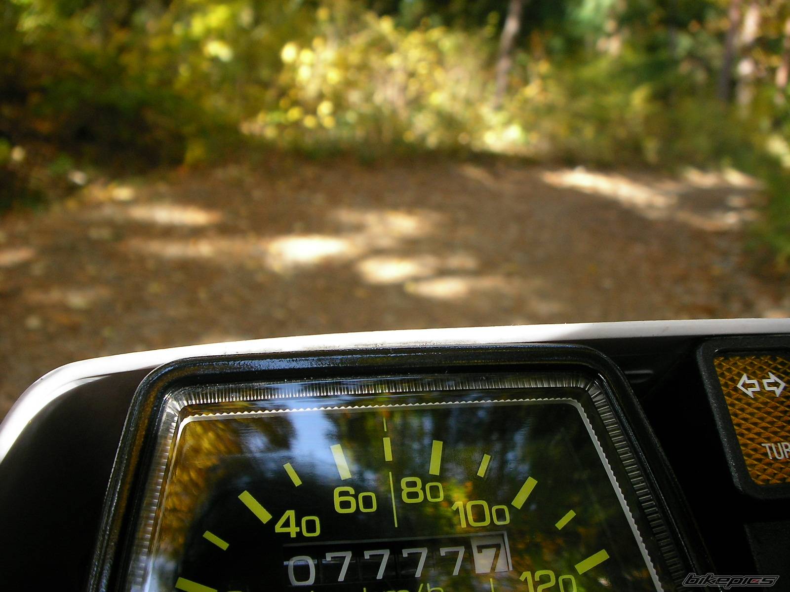 Bike Photo 462805