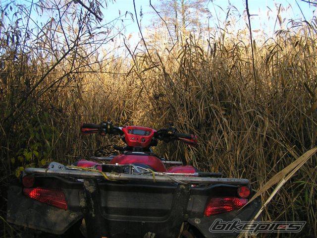 Photo 462821