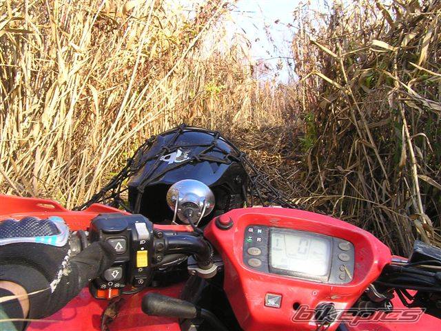 Photo 462824