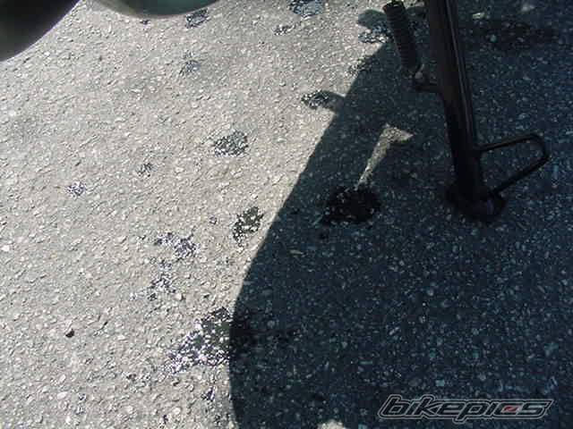 Photo 462889