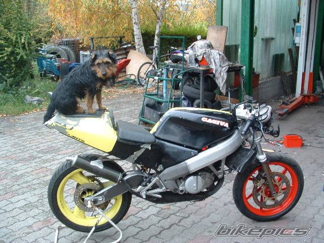 Bike Photo 462927