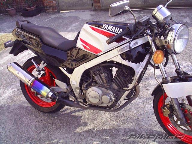 Bike Photo 462954