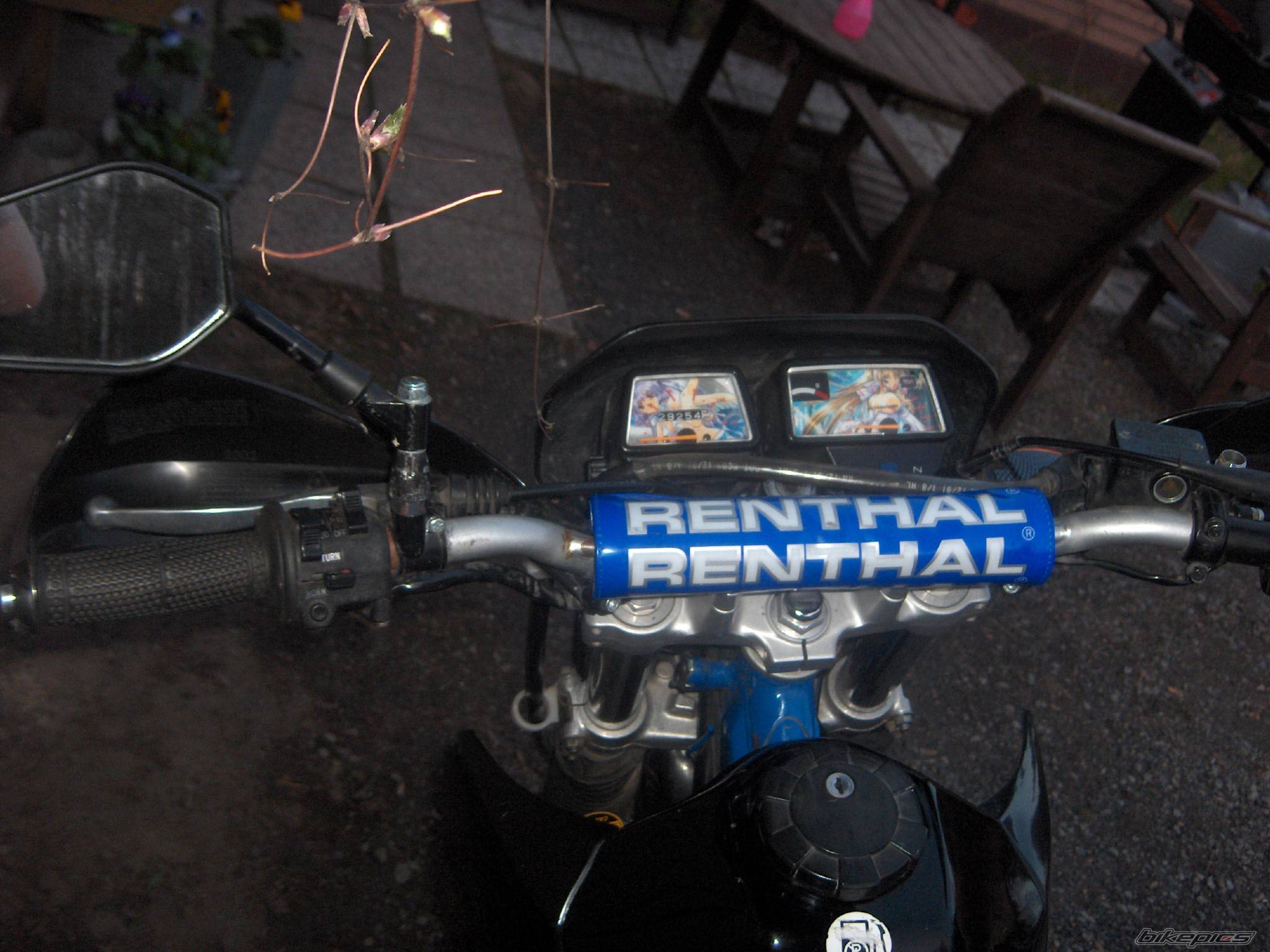 Bike Photo 462979