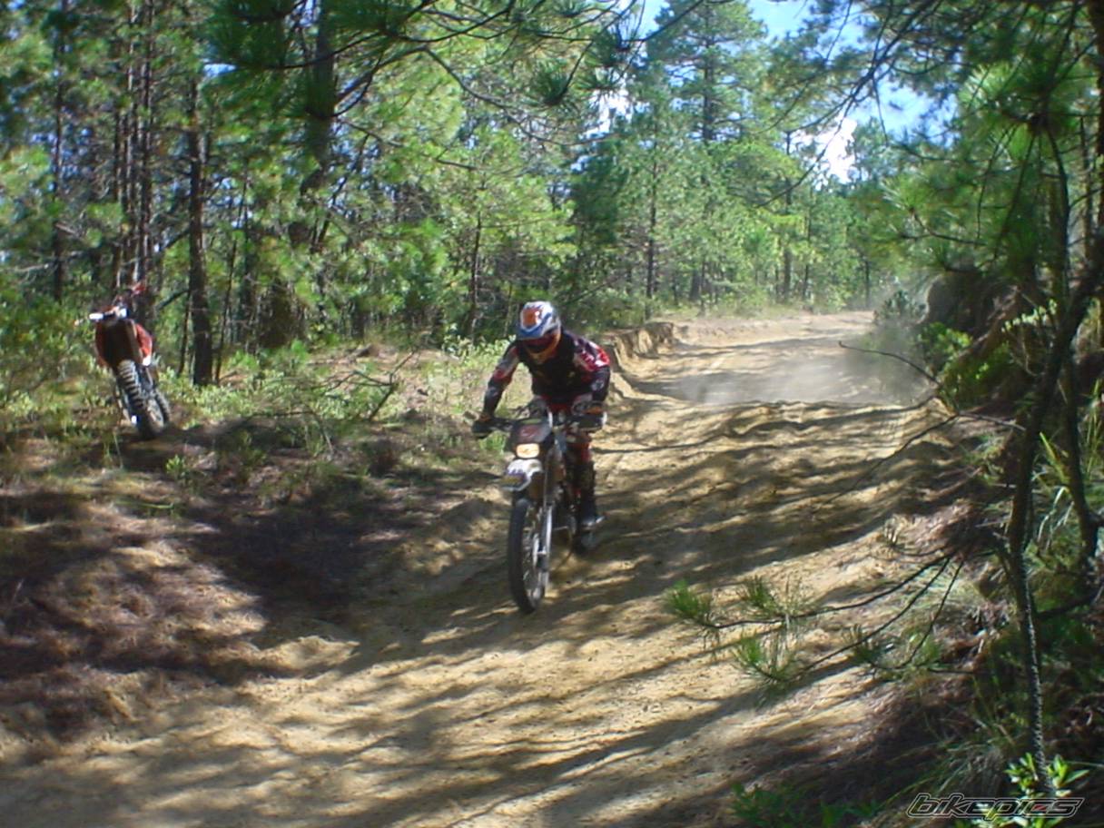 Bike Photo 463219